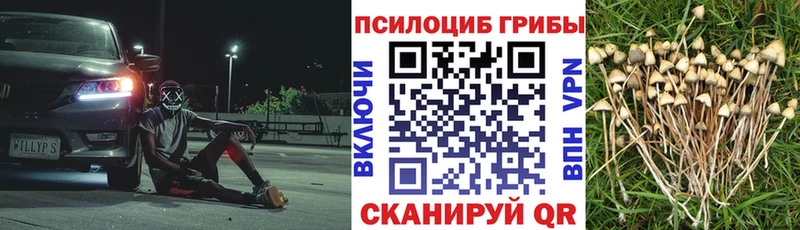 как найти закладки  Подольск  нарко площадка наркотические препараты  Псилоцибиновые грибы MAGIC MUSHROOMS 